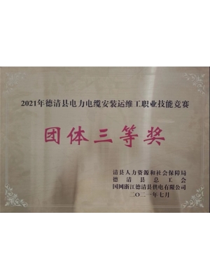2021年德清縣電力電纜安裝運(yùn)維工職業(yè)技能競賽團(tuán)體三等獎(jiǎng)